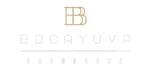 Bocayuva Advogados